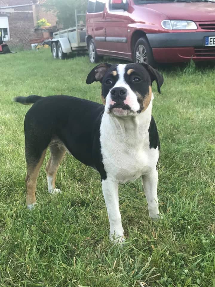 Paco